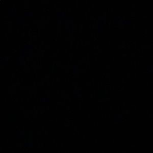 Meet your Posher, Flora